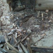 Log Home Restoration 173