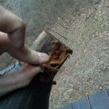 Log Railing Repairs 74