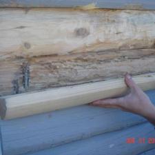 Log Restoration 8